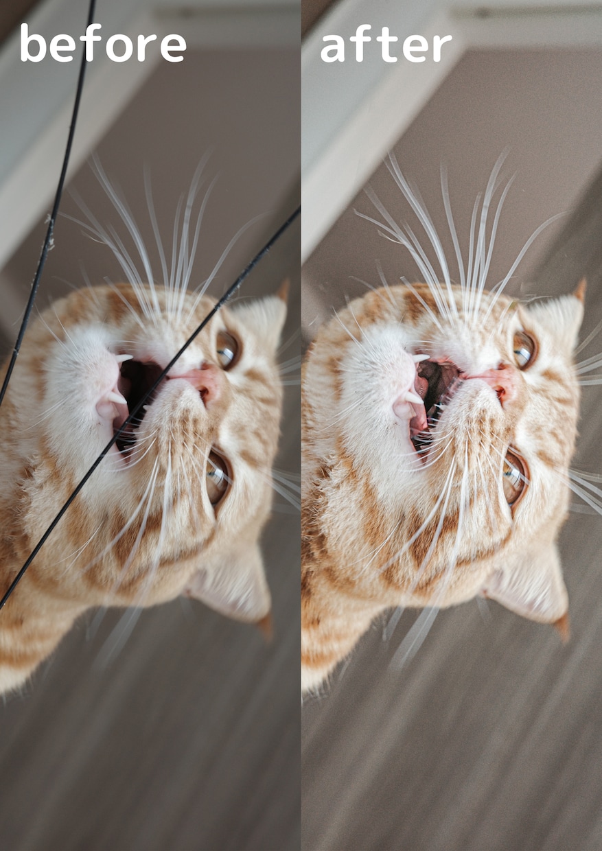Photoshopで写真の色調補正、修正等承ります 最短即日！ご用命に沿った編集を！ イメージ4