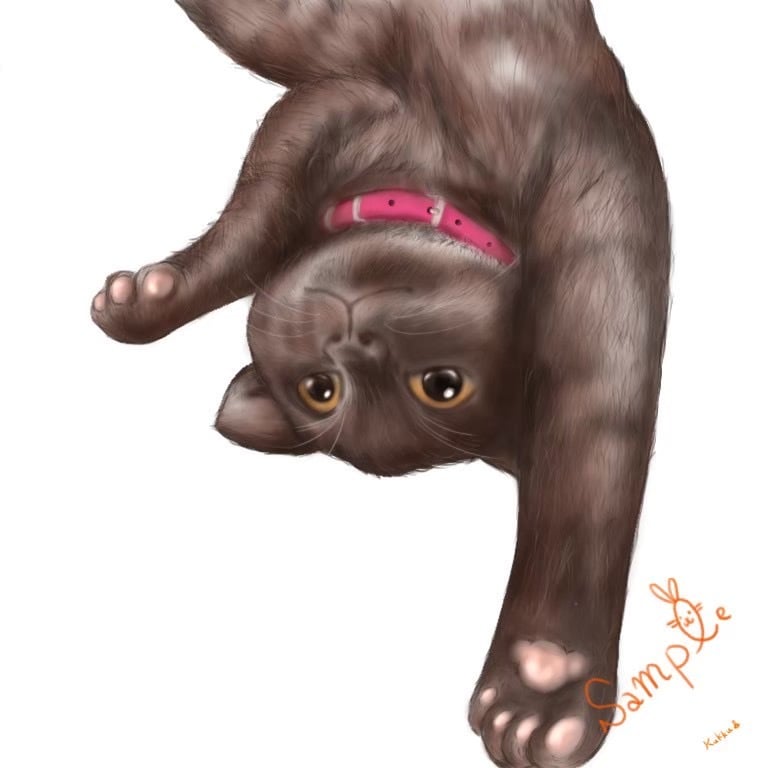 ペットちゃん限定イラスト作成します 大好きなあの瞬間をイラストで残しませんか？ イメージ5