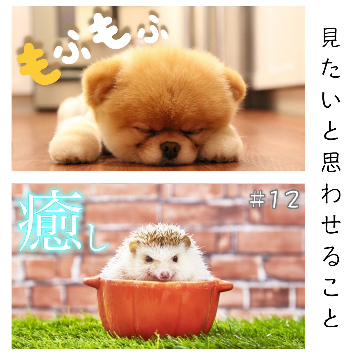 YouTuber必見！最低価格でサムネ制作します 現役YouTuberだからこそ分かる見られやすいサムネイル イメージ6