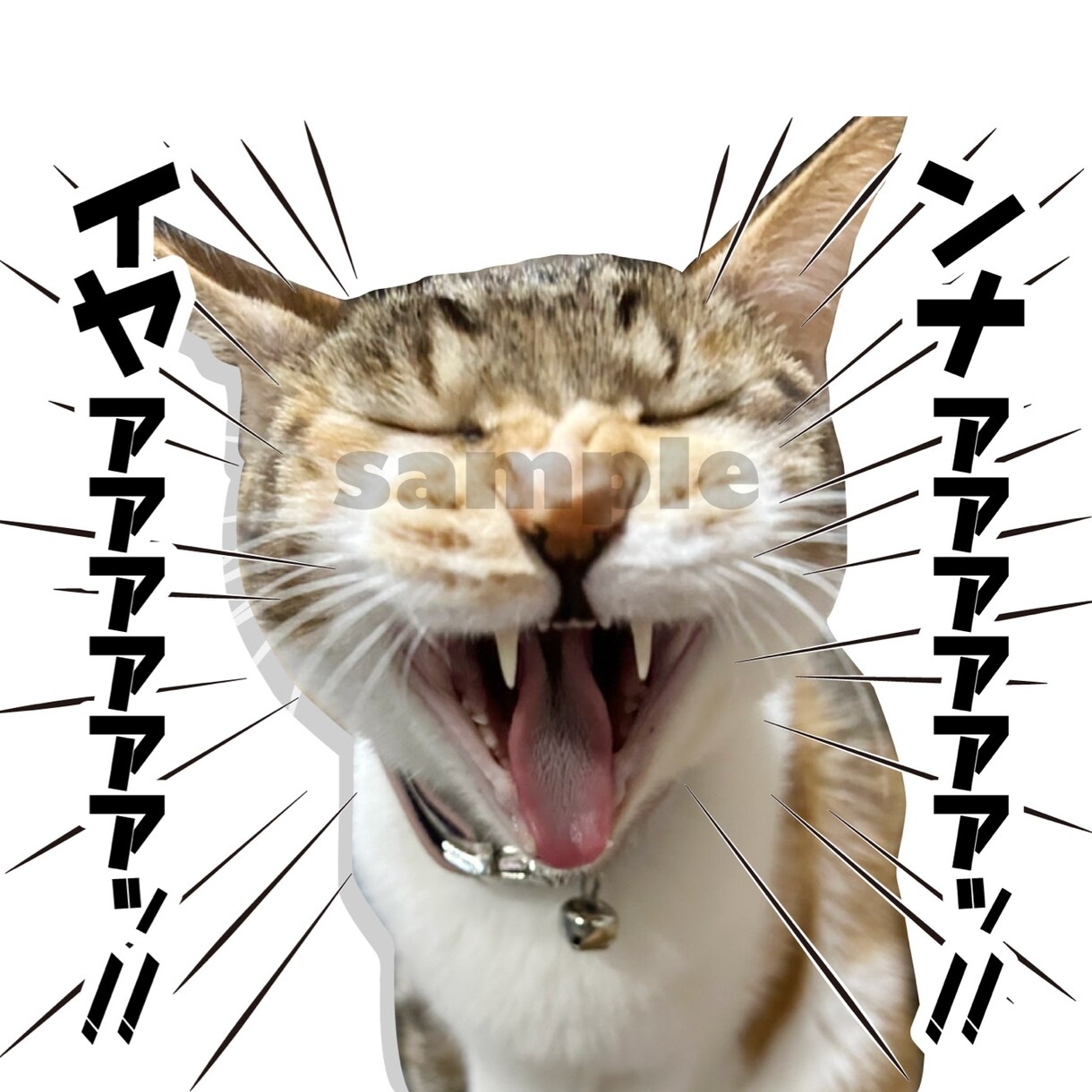 猫や犬、カワイイうちの子LINEスタンプつくります かわいいペットの写真でLINEスタンプをつくりませんか？ イメージ6