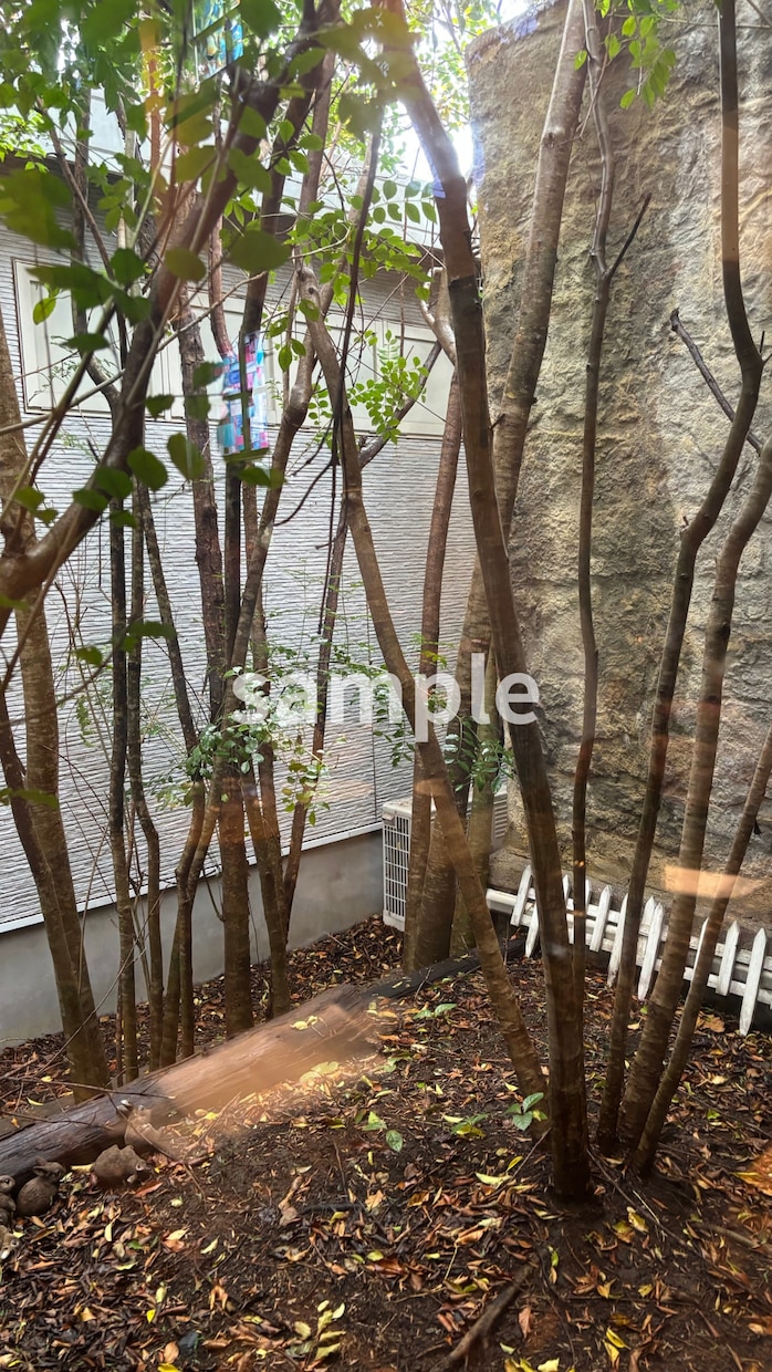 暮らしに映えるCanvaテンプレートを作成します SNS投稿をナチュラルでおしゃれに整えたい方へ イメージ4