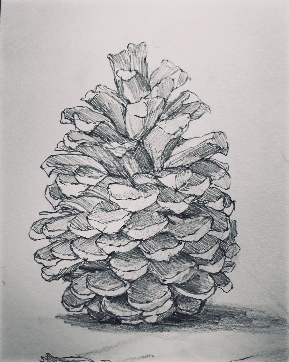水彩絵の具を使った絵画を提供いたします リアルな絵ならおまかせください！！ イメージ4