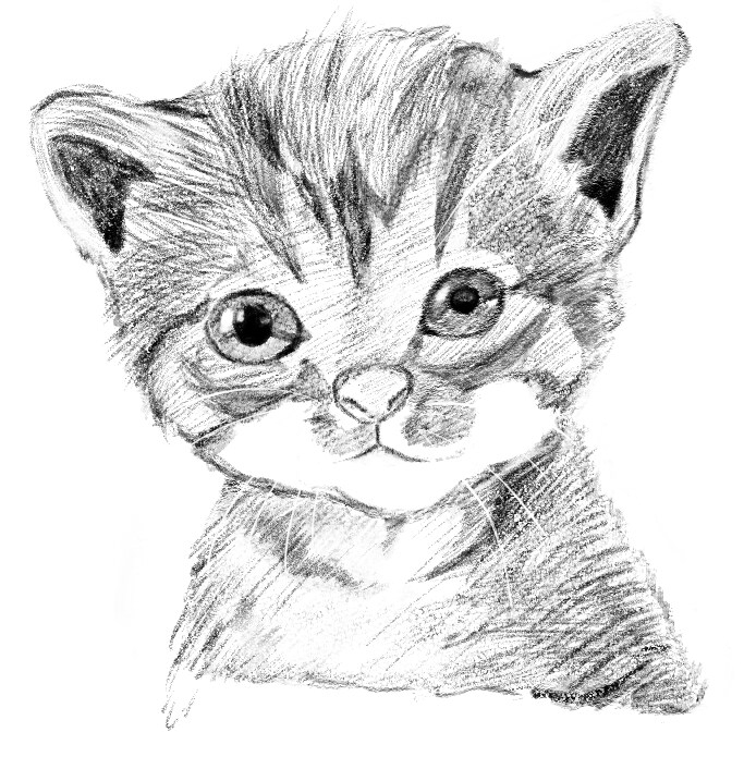 大切なペットのイラストを描きます 大切なペットとの思い出の一枚を イメージ1