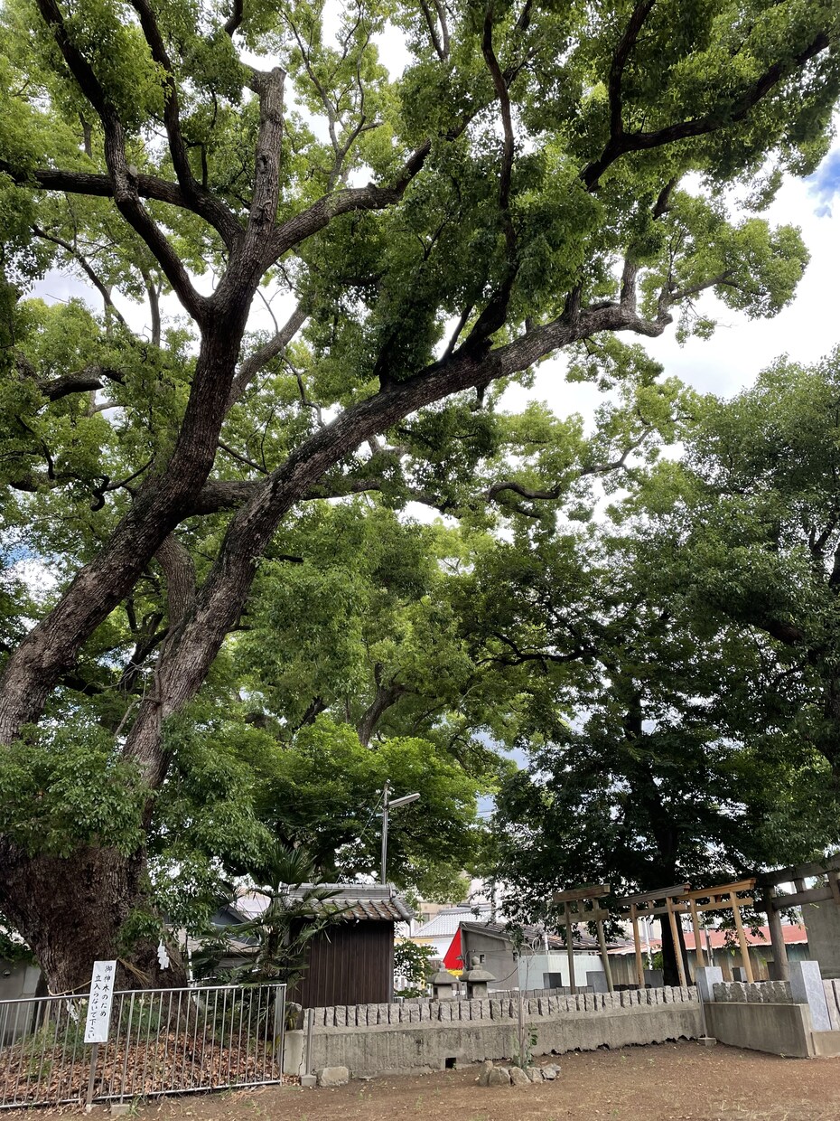心の悩み何でもお聞きます とことんお話しお聞きします❤️ イメージ1