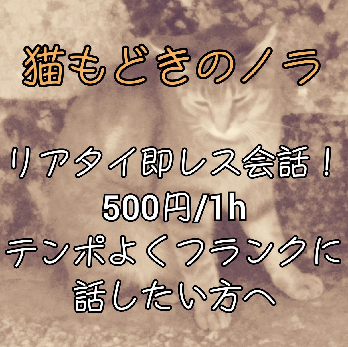 その気持ち、猫もどきのノラが一緒に分かち合います あなたにそっと寄り添う存在になれますように イメージ1