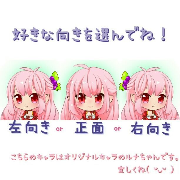 ちびキャラアイコン制作します 左向き、正面、右向きでの固定のちびキャラです。 イメージ2