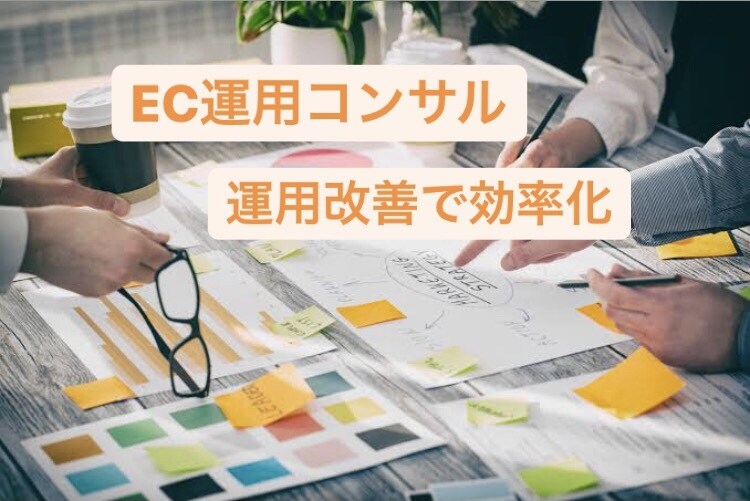 ネクストエンジンの設定・運用コンサルします バックヤードも経験あり！システム提案や導入サポート！ イメージ1