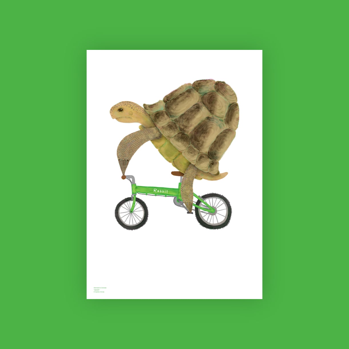 絵本のような世界観のイラスト描きます 動物・自然をモチーフにしたイラストが得意です イメージ9