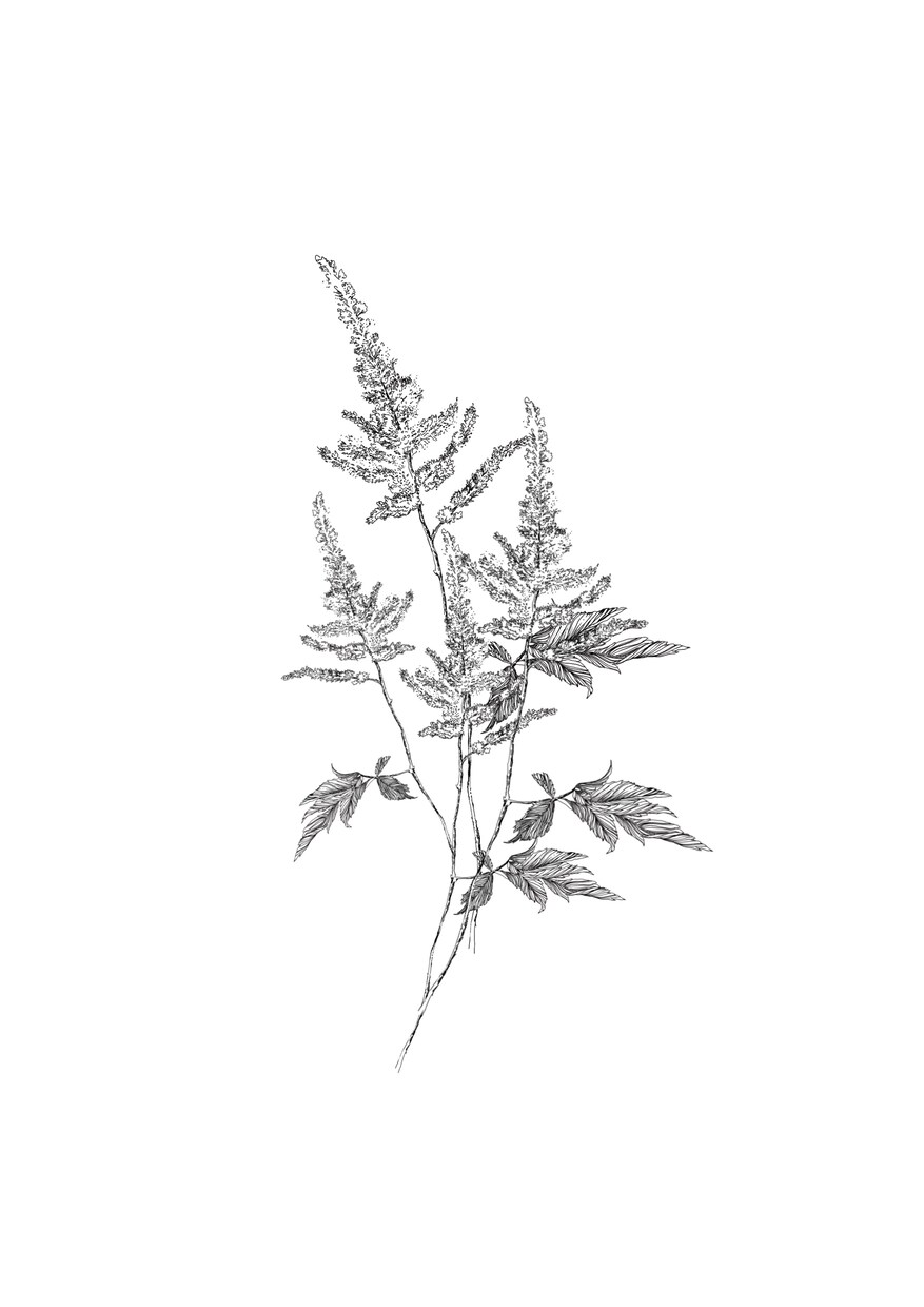 あなたのお好きな花束、描きます お好きな花束データ制作いたします。 イメージ6