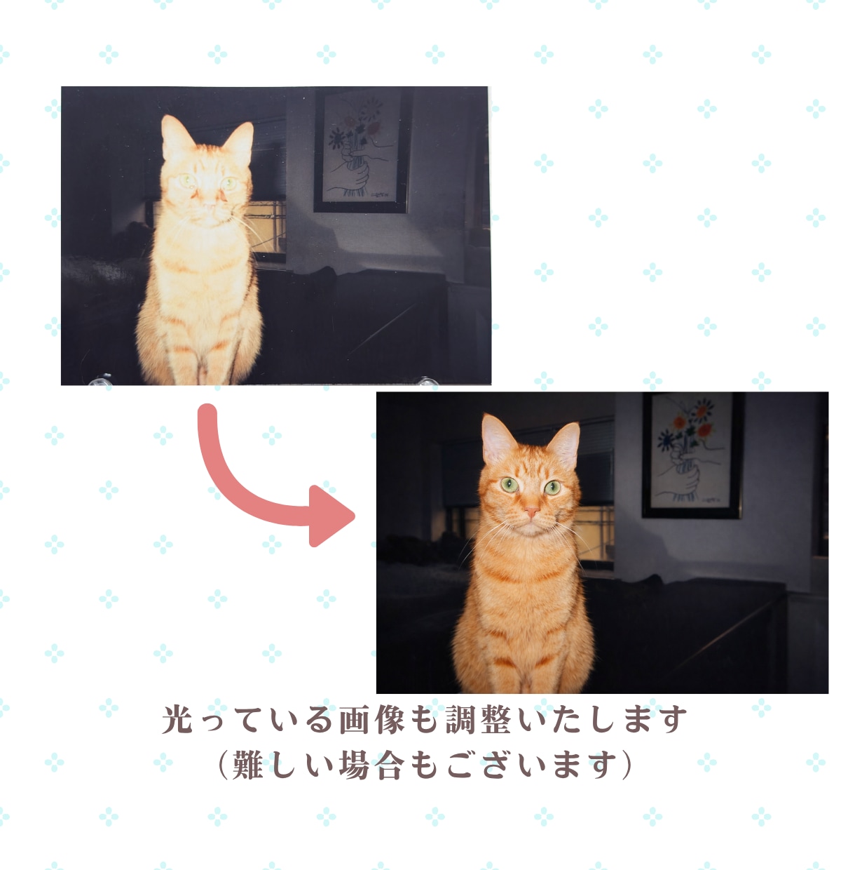 愛犬愛猫を優しい水彩画にします 評価★5御礼！！！記念日ギフトやインテリアにオーダーイラスト イメージ10