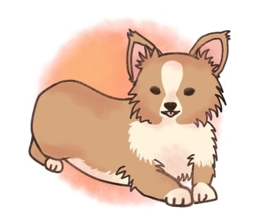 あなたの愛犬のイラストを描きます 世界に一つだけの愛犬イラストを制作いたします。 イメージ3