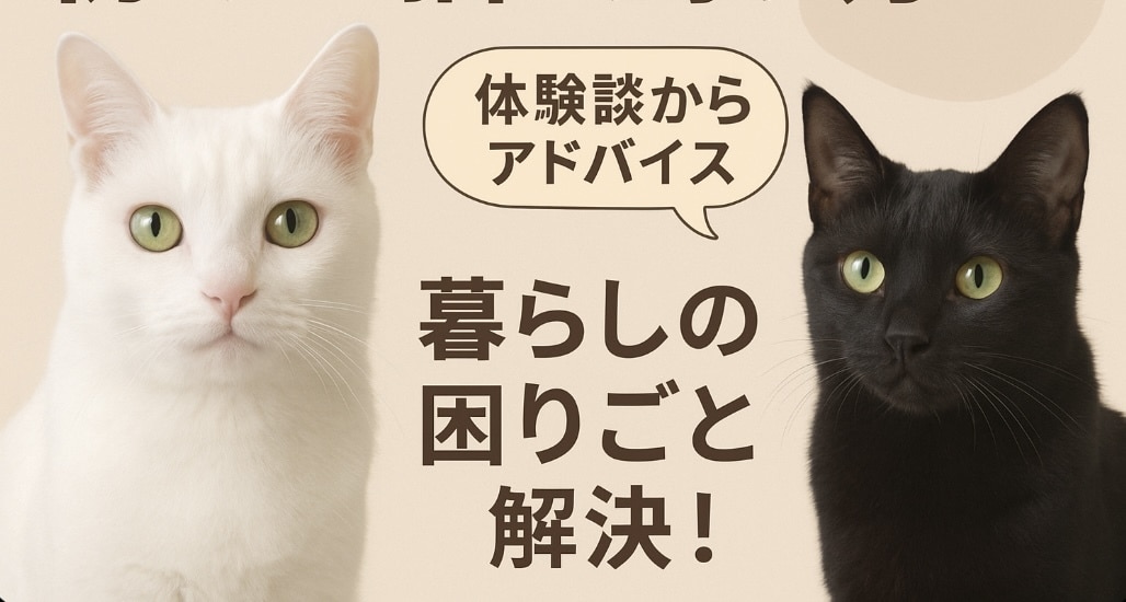猫と暮らす人の愚痴・モヤモヤ、静かにお聞きします 猫との暮らしの“うちだけ？”に寄り添います。 イメージ2