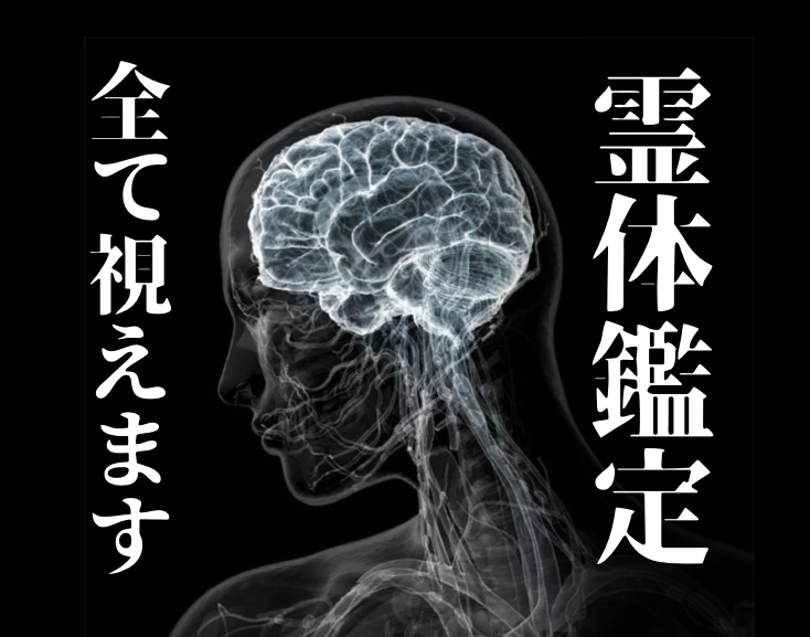 貴方の持つ力を鑑定し、貴方の知りたい事を教えます 恋愛、お金、仕事、人間関係、将来…気になること全て教えます イメージ1