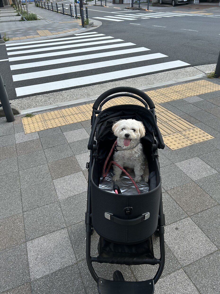 誰にも言えない悩み、全部聞きますます 言えない悩みや愚痴、否定せず全部受け止めます。 イメージ7