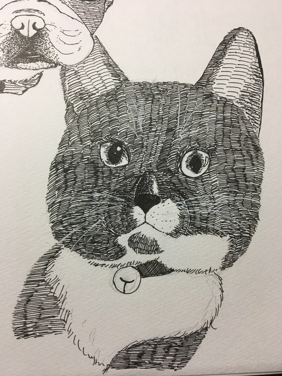 ペットのイラスト描きます 大切なペットのイラストをペン画で描きます！ イメージ4