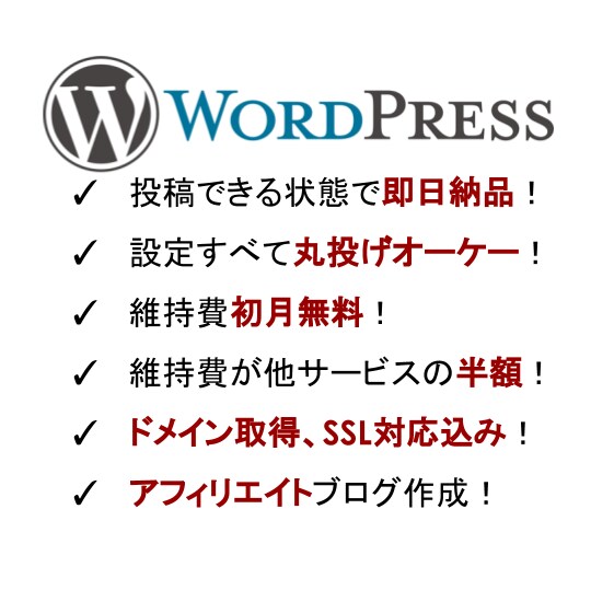 初心者の方のWordpressサイト設置代行します 即日納品！ドメイン取得、SSL対応込の価格！とにかく安く提供 イメージ2