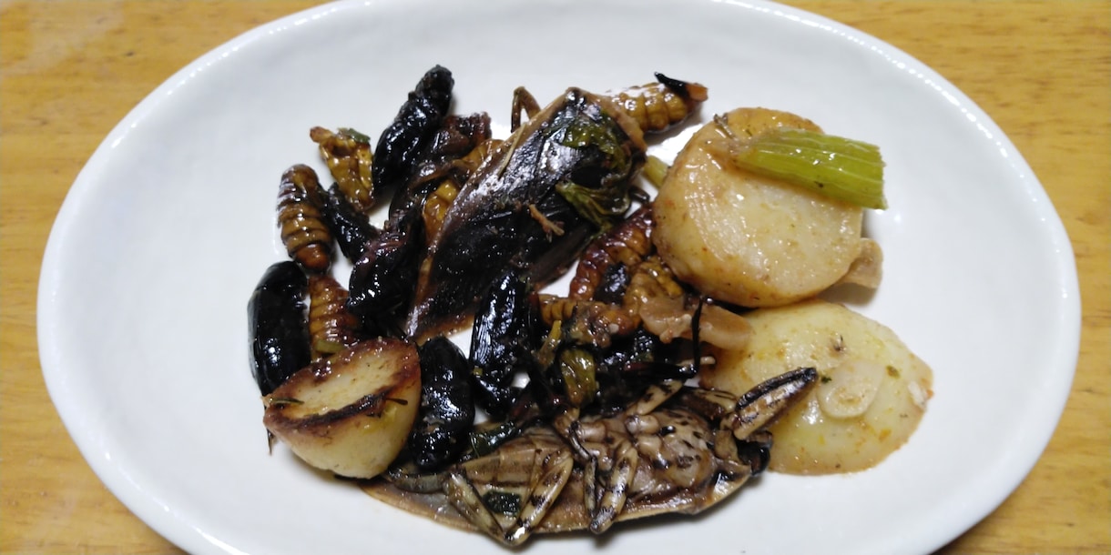 野草と昆虫食のレシピ、考案致します 和ハーブフードディレクターが野食の美味しいレシピを提案します イメージ2