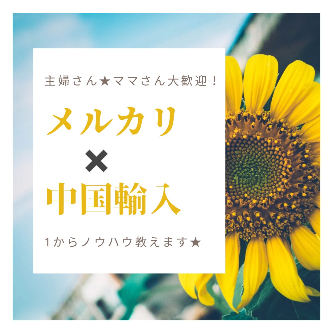 主婦でもできた！メルカリ✖️中国輸入教えます 必要な方には自動化が可能な外注化の方法も伝授いたします！ イメージ1