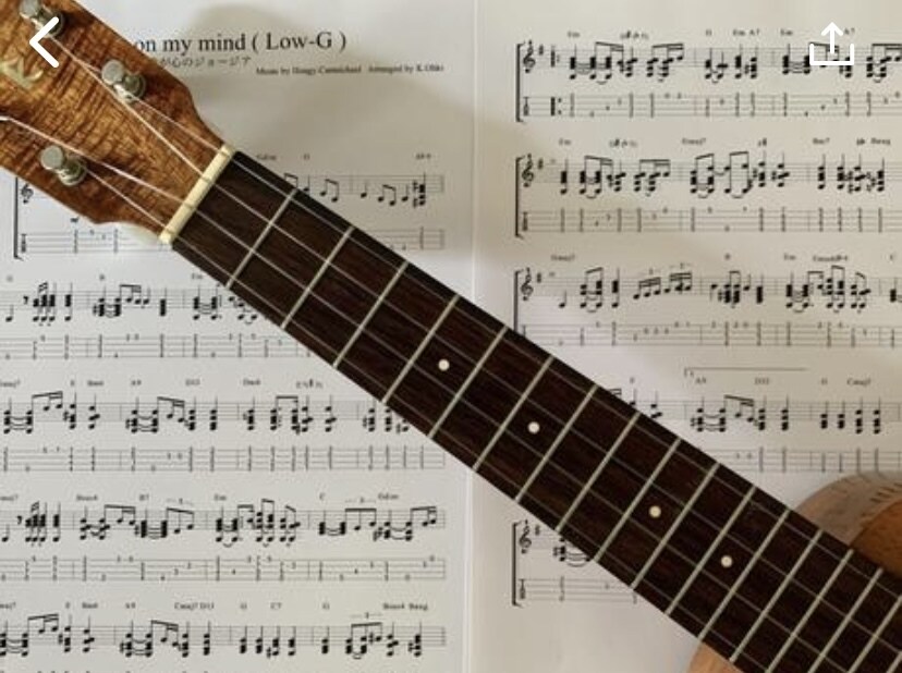 お好きな曲のウクレレソロ TAB を作成致します 300曲〜のソロTAB作成実績があります❗️ イメージ3