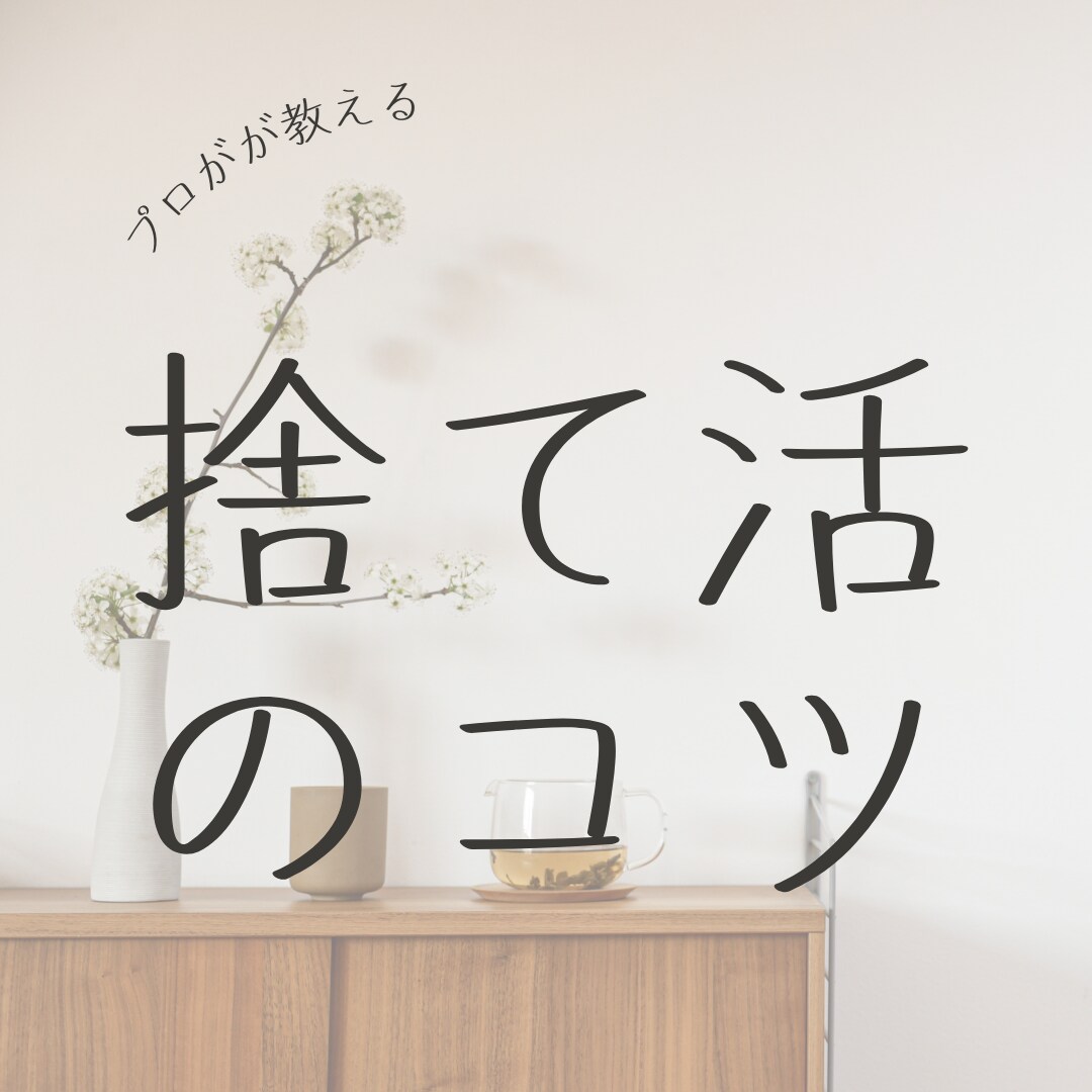 捨てられない人へプロが寄り添い断捨離させます 写真を見ながら何をどう捨てればいいのかをアドバイスします イメージ1