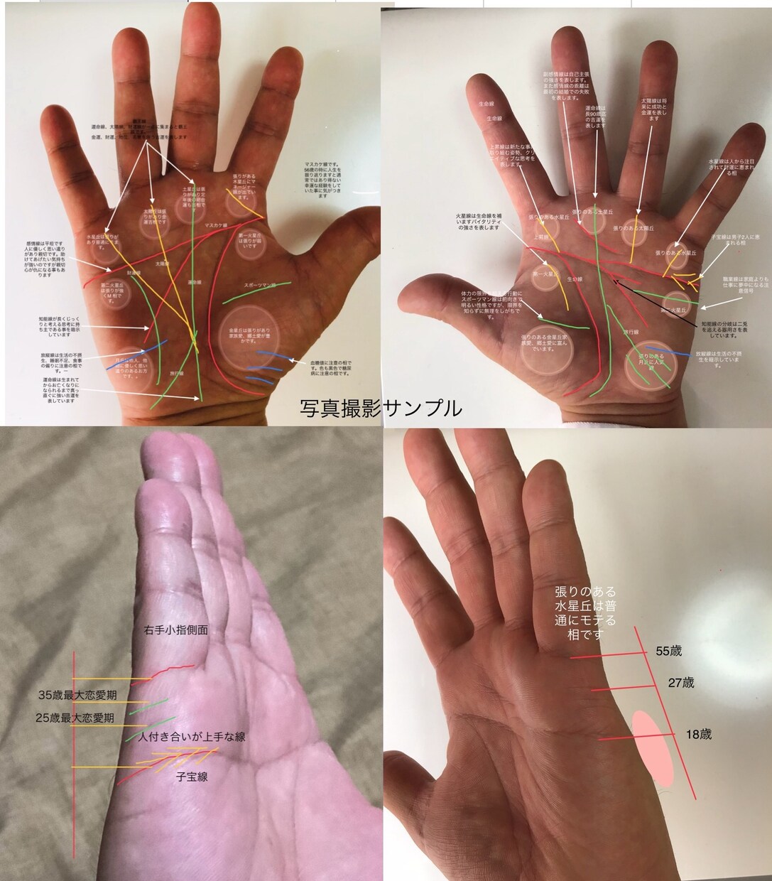 あかちゃん歓迎お子様の手相占います 手相でお子様が小さい内に秘めた才能を発見し伸ばしていきます。 イメージ9