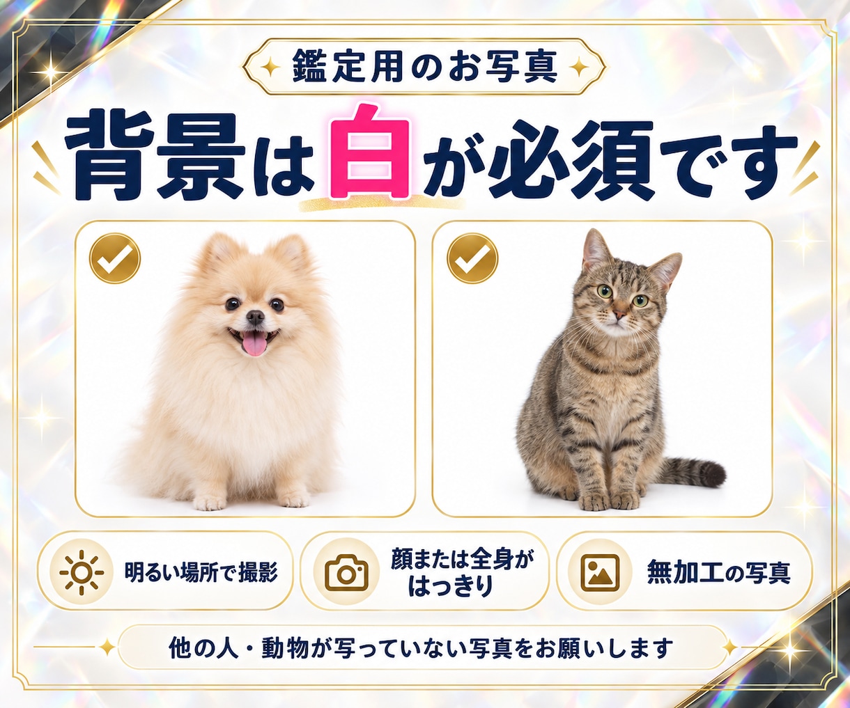 犬の気持ち・猫の気持ちをオーラから読み解きますます 「なんでそれするの？」その子なりの理由があります イメージ8