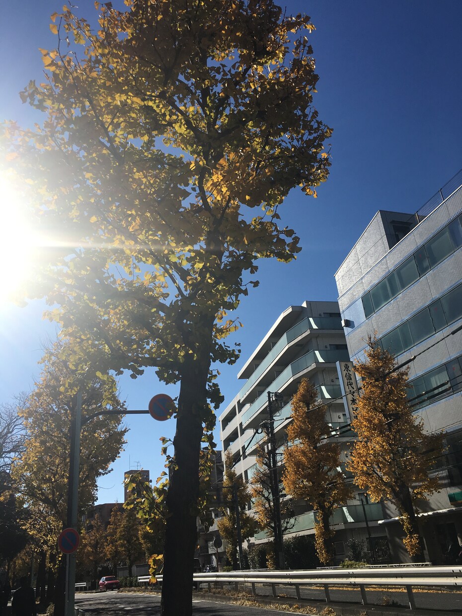 法人や個人営業に慣れないあなた 楽しむ方法教えます いつも相手にビクビクしてしまう方、成績が出ず悩んでいる方など イメージ1