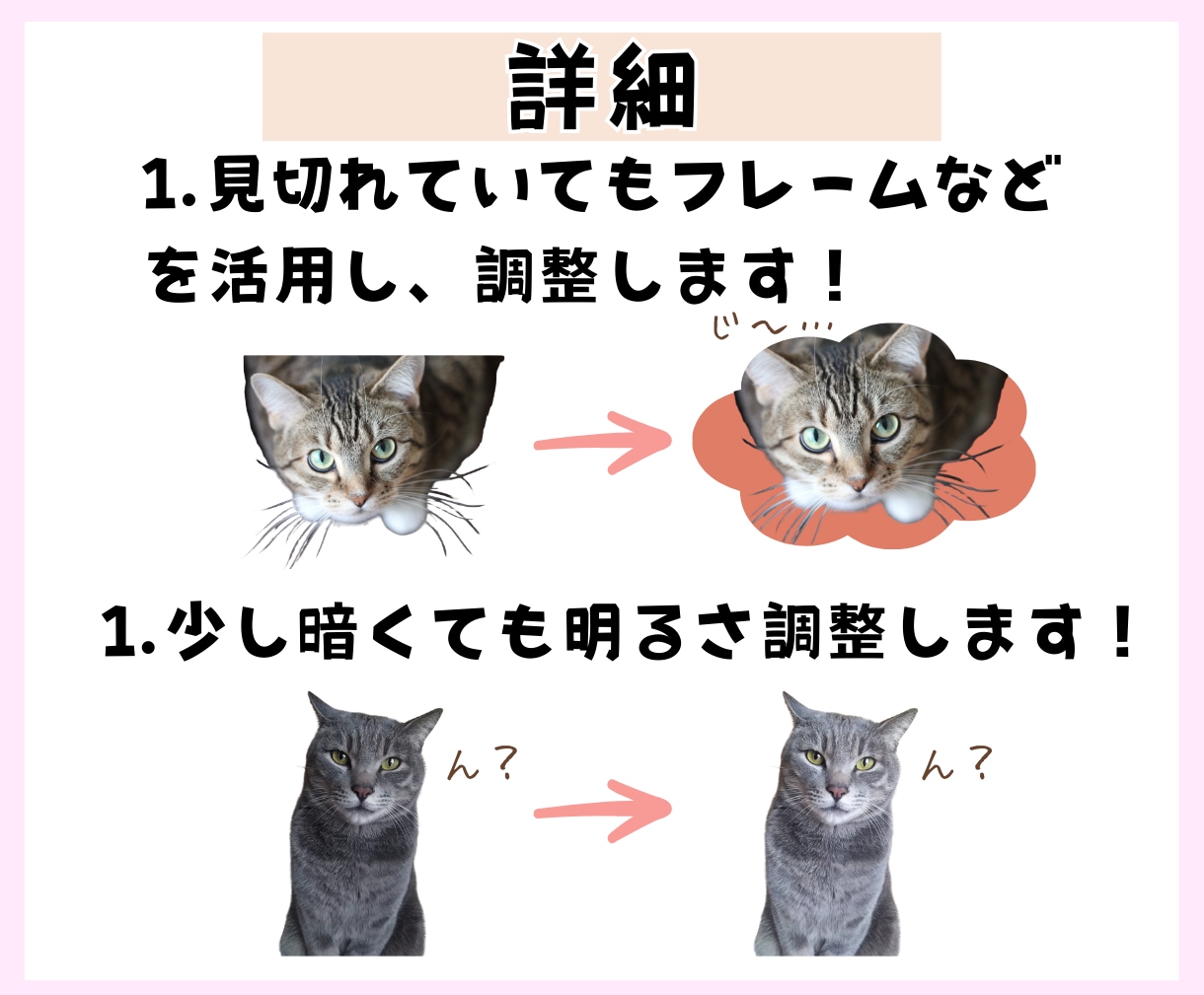 ペットの写真からオリジナルLINEスタンプ作ります 愛するペットの日常をスタンプで残しませんか？ イメージ4