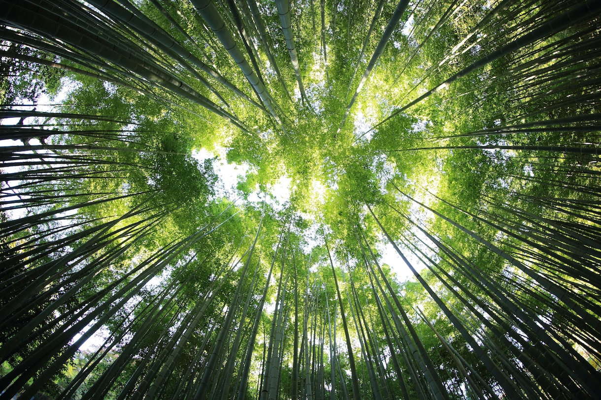 片想い鑑定★相手の気持ち、未来、恋愛成就へ導きます 精霊波動霊視であなたの片想いを両想いへ導きます。 イメージ8