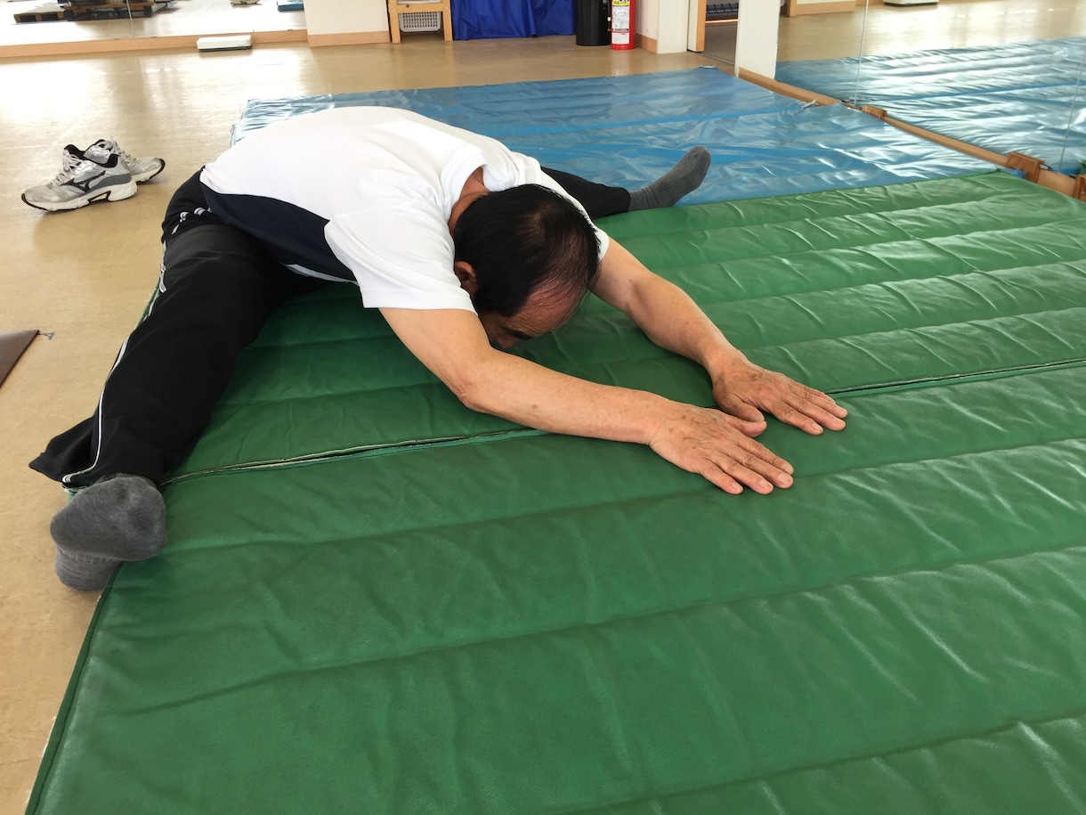 あなたを開脚ストレッチ可能へ導きます プロトレーナーがあなただけのプログラムを作成します イメージ2