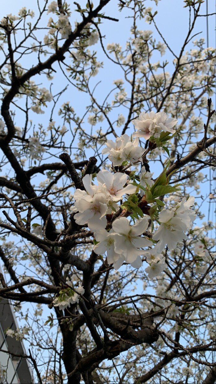 相談乗ります あなたの悩み聞かせてください！ イメージ1