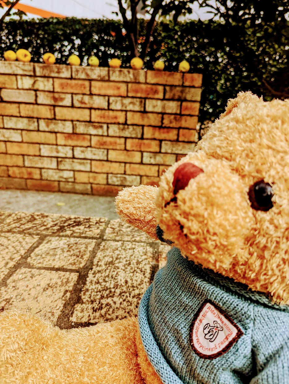 くまのベアくんがあなたのお悩み解決します くまのぬいぐるみのベアくんがあなたのお話を聞いてくれます イメージ6