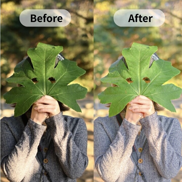 写真を理想の色味にレタッチします 日常の一枚を、記憶に残る一枚へ イメージ2