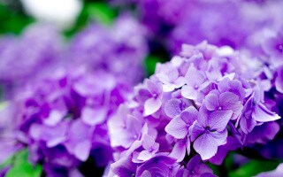 48時間★どんなお話でもプロが親身にお伺いします 恋愛・人間関係・悩み相談／実績300件★カウンセラー薬剤師 イメージ7