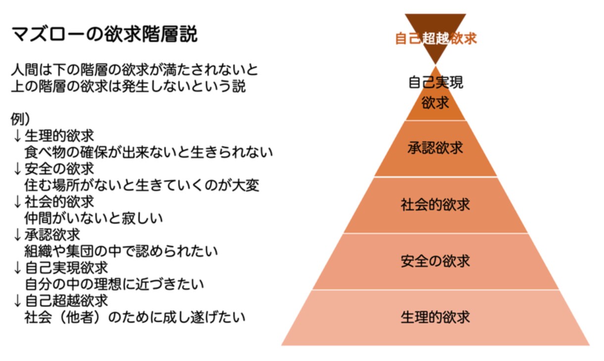 大学生のキャリア相談／就職活動相談お受けします 後悔ないキャリア選択に向けた、具体的アドバイスをお約束します イメージ3