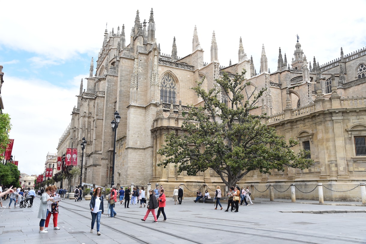 スペインから直接スペイン語オンラインレッスンします スペイン旅行、留学でスペイン会話を習いたい方にお勧めです！ イメージ1