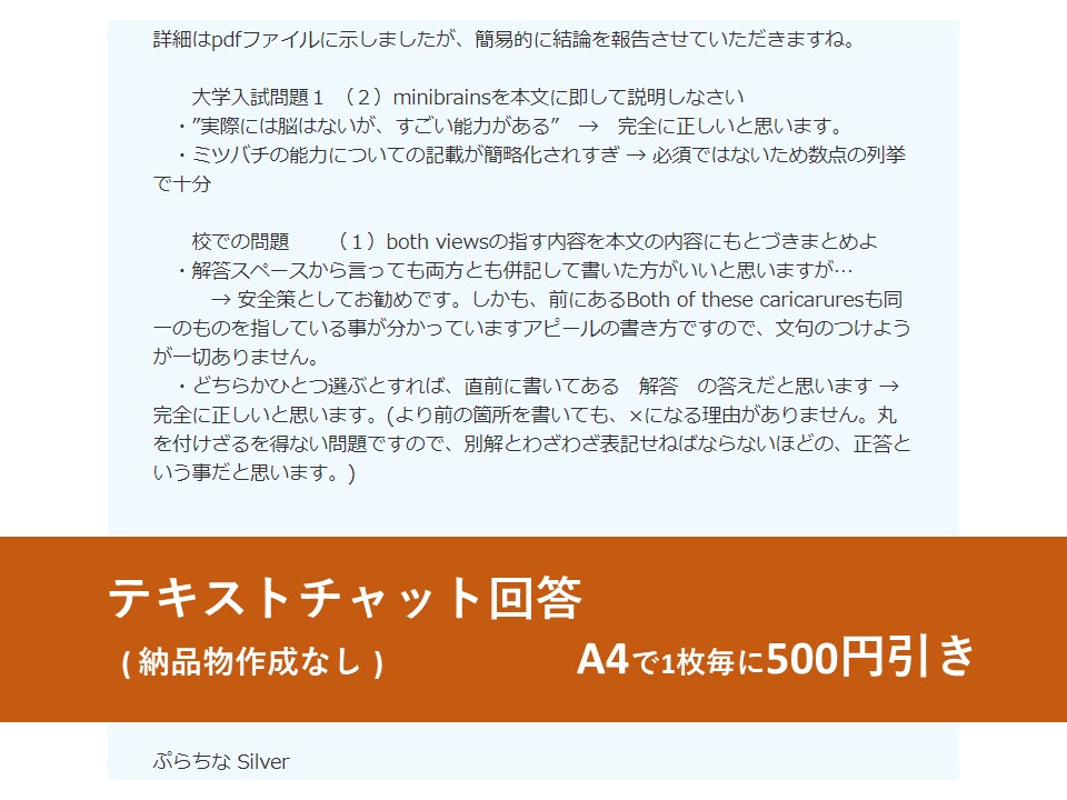 解答や日本語訳がない！英語の問題をお助けします 予備校講師歴12年！指導者向け解説メモや商用配布用もお任せ！ イメージ3