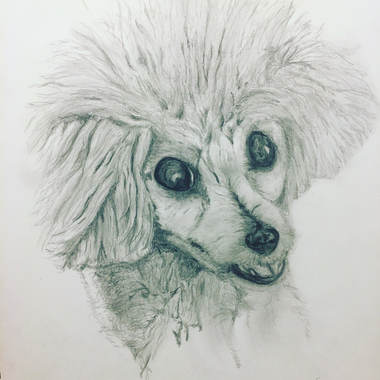 わんちゃんの絵描きや人形作ります 愛犬家、わんちゃん大好きな方、愛犬の記念日に イメージ1
