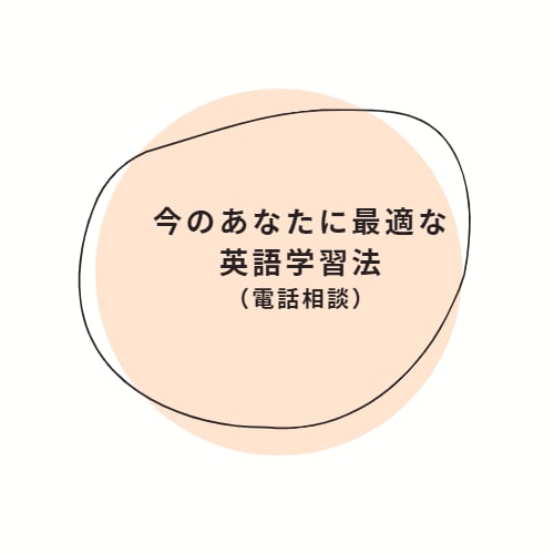 英語学習の悩みを解消します 30年の通訳翻訳語学教師による実践的で適切な英語の学び方相談 イメージ1
