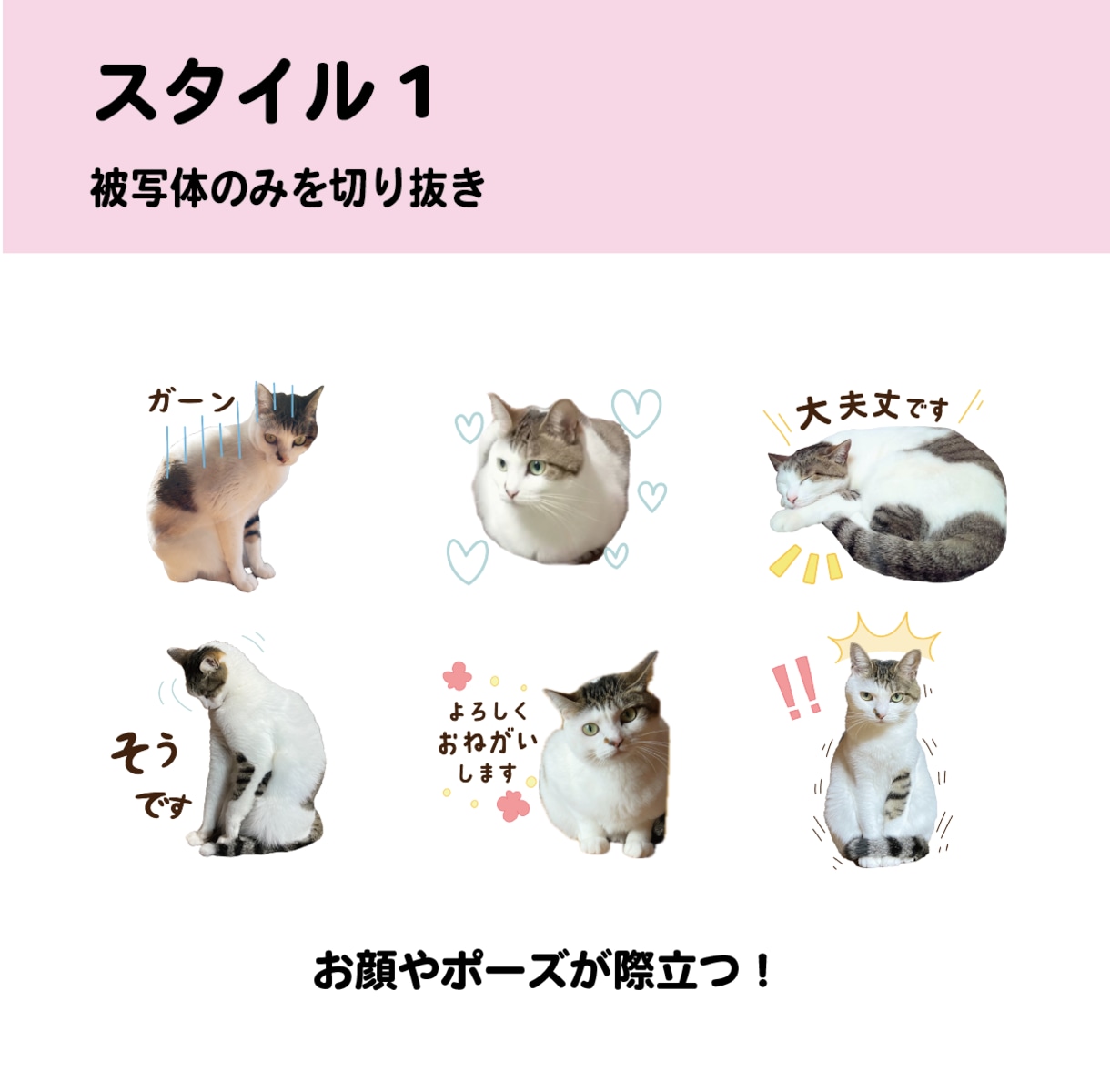 ペットのお写真でLINEスタンプを作ります お気に入りの写真をLINEスタンプに！ イメージ2