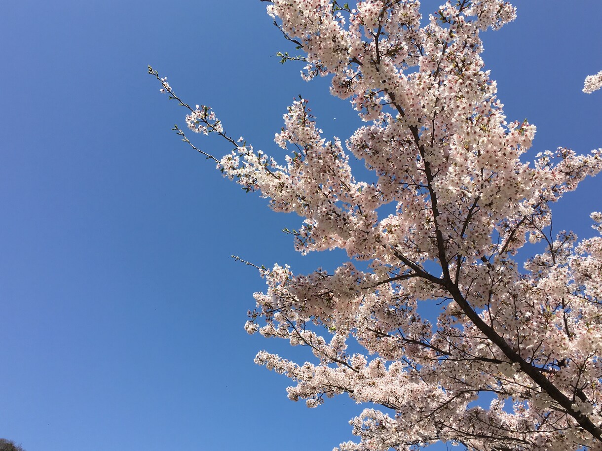 心に溜まった愚痴やもやもや、ありのままを聴きます ☆対人関係の悩み、積もり積もったストレスを抱えたあなたへ。 イメージ2