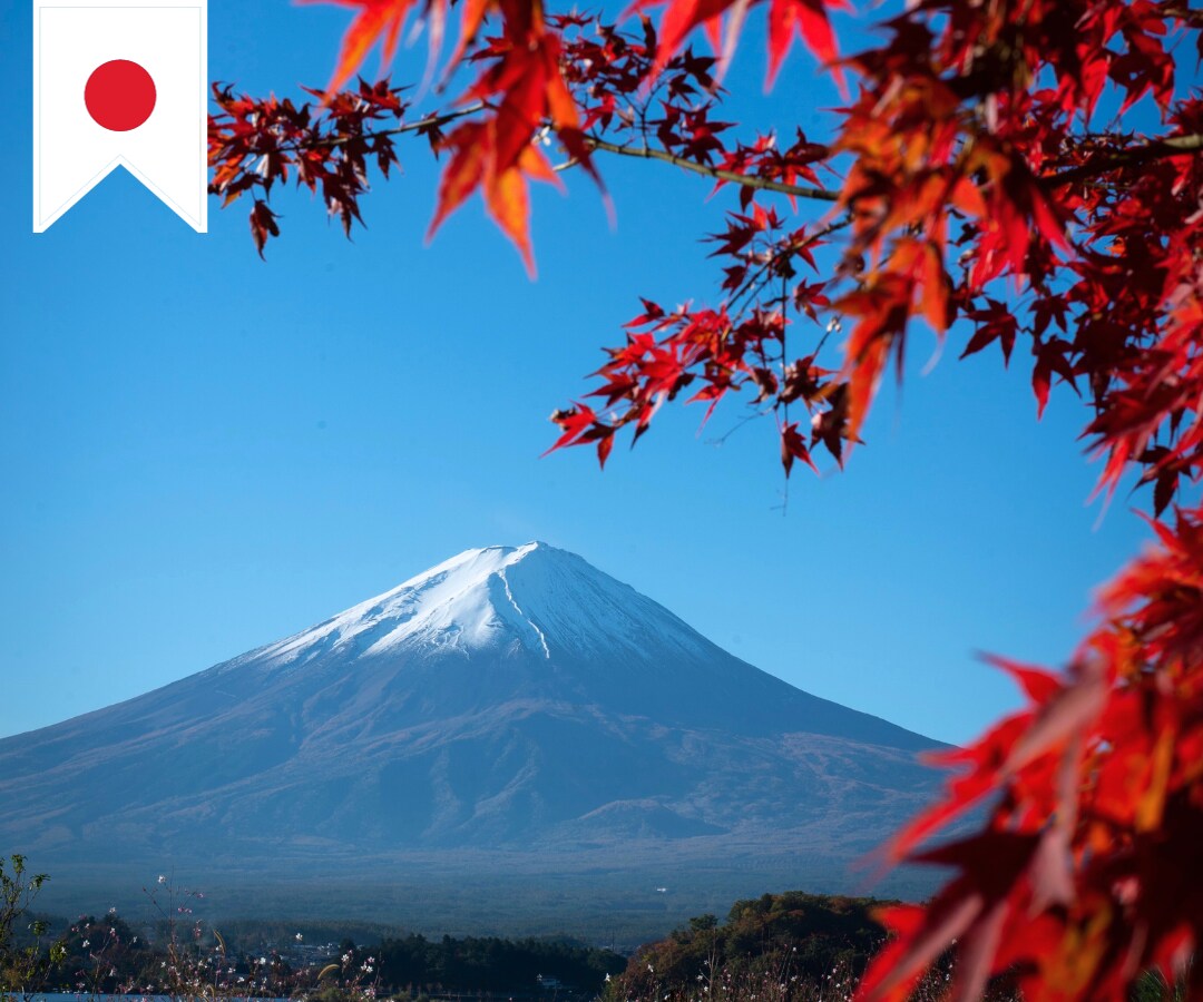 English▶Japanese 翻訳します Qualified Japanese Teacher イメージ3