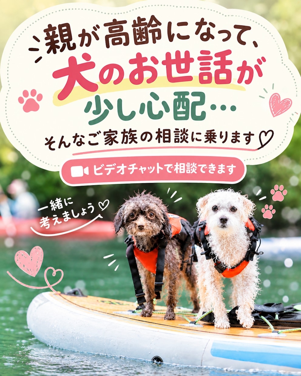 犬を飼う親が心配な方　介護×犬の生活を考えますます 親が犬を飼っているけど、最近ちょっと心配…そんなご家族へ。 イメージ1