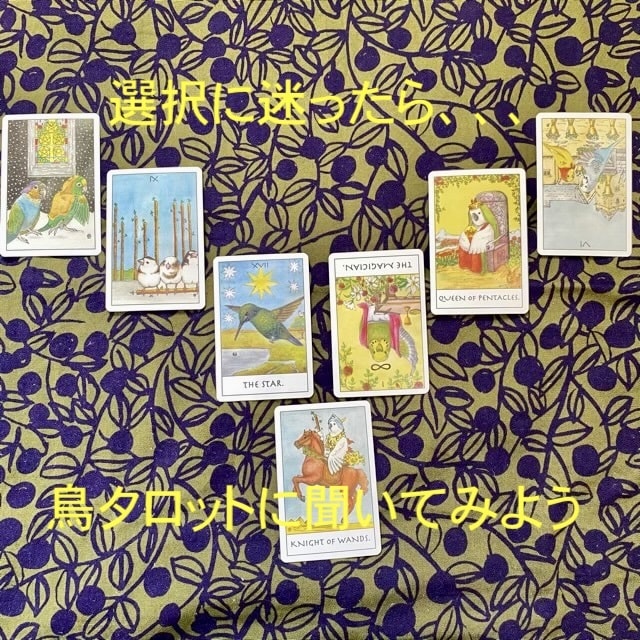 選択に迷っているあなたを鳥タロットがサポートします 「今」を最善の方法で乗り切り、明るい未来を手に入れましょう イメージ2