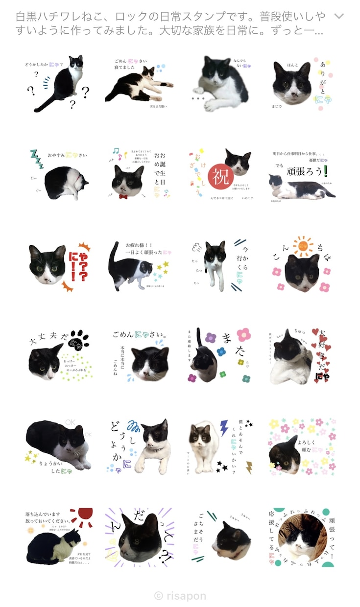 大切な家族(ペット)のスタンプ作ります 大切な家族を日常に。写真でペットのスタンプをお作りします イメージ2