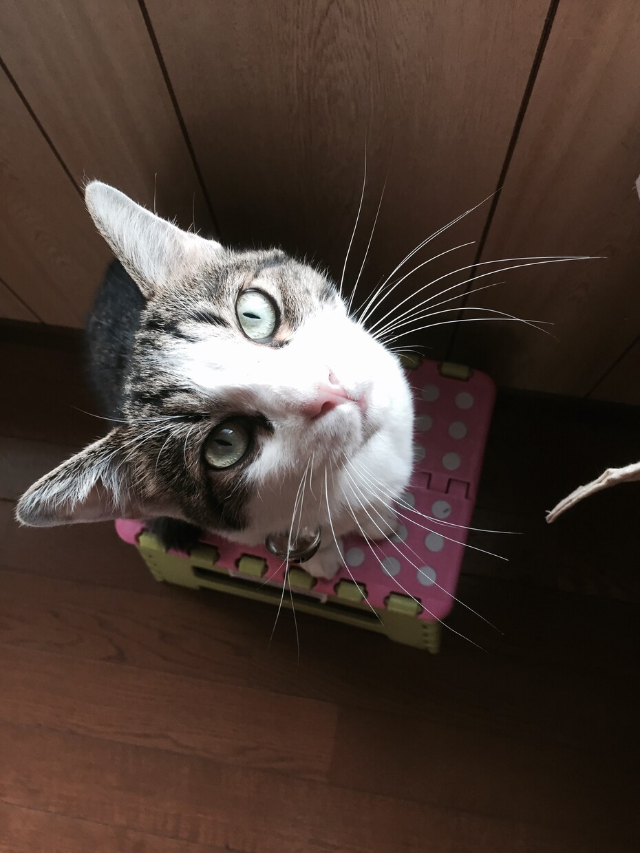 心の悩み、性のお悩み何でもOKです。 イメージ1