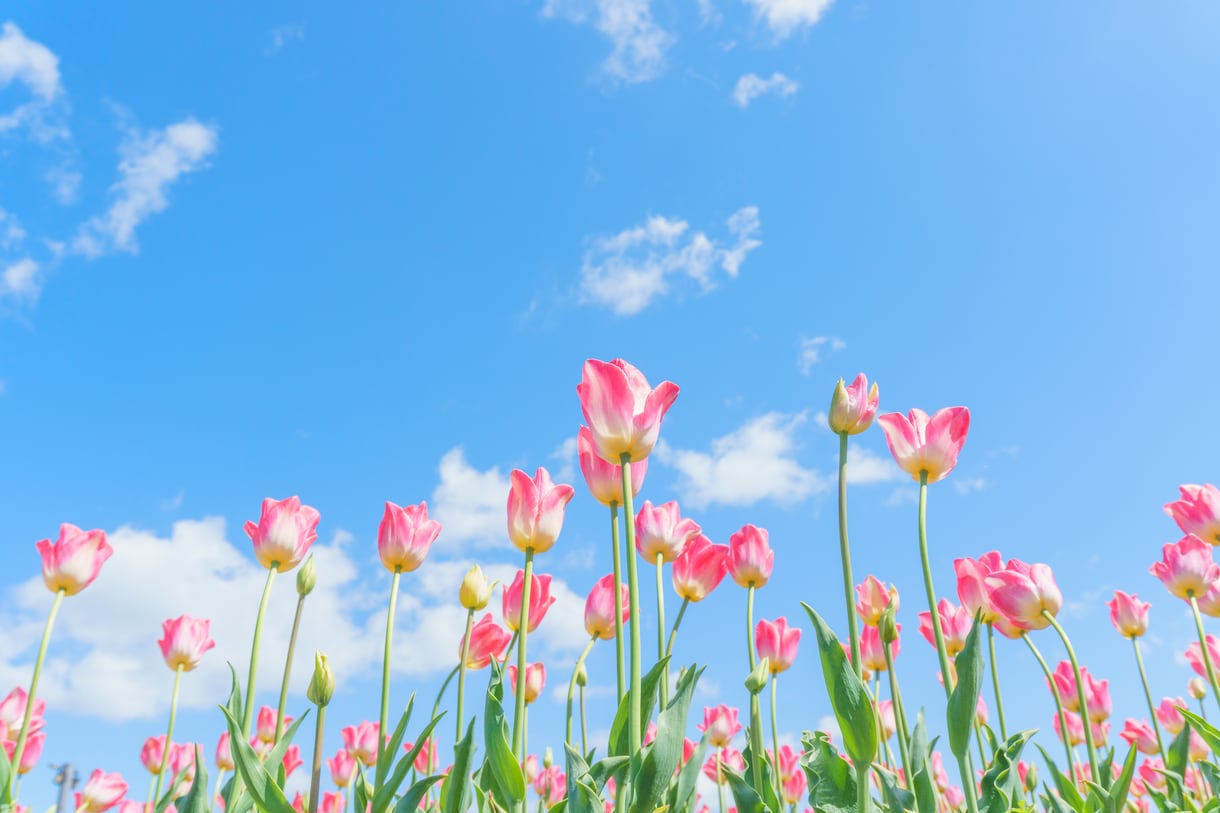 今のあなたへ、優しいひとことをお届けします ｜オラクルカード１枚メッセージ✨️考えすぎた心に、必要な言葉 イメージ8