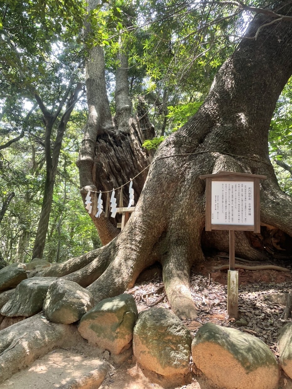 福岡県内にプロを派遣し、神社代理参拝いたします 遠方の方、プロに参拝をお願いしたい方に✨　神社代理参拝✨ イメージ4