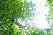 意見が言えなくて辛い…文字のやりとりで相談できます 元陰キャコミュ症いじめられっ子の僕に任せてください✨ イメージ3