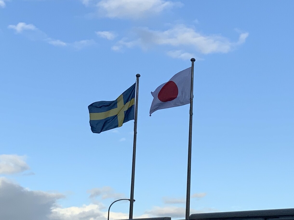 スウェーデン語を初級から上級まで教えます 旅行で使える便利な会話から本格的な会話までビデオチャットで！ イメージ1